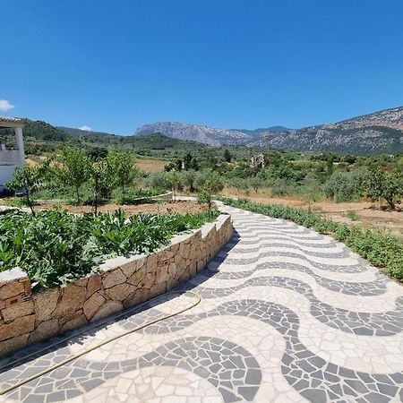Villa Biriculi Dorgali Dış mekan fotoğraf