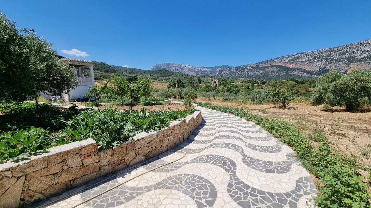 Villa Biriculi Dorgali Dış mekan fotoğraf
