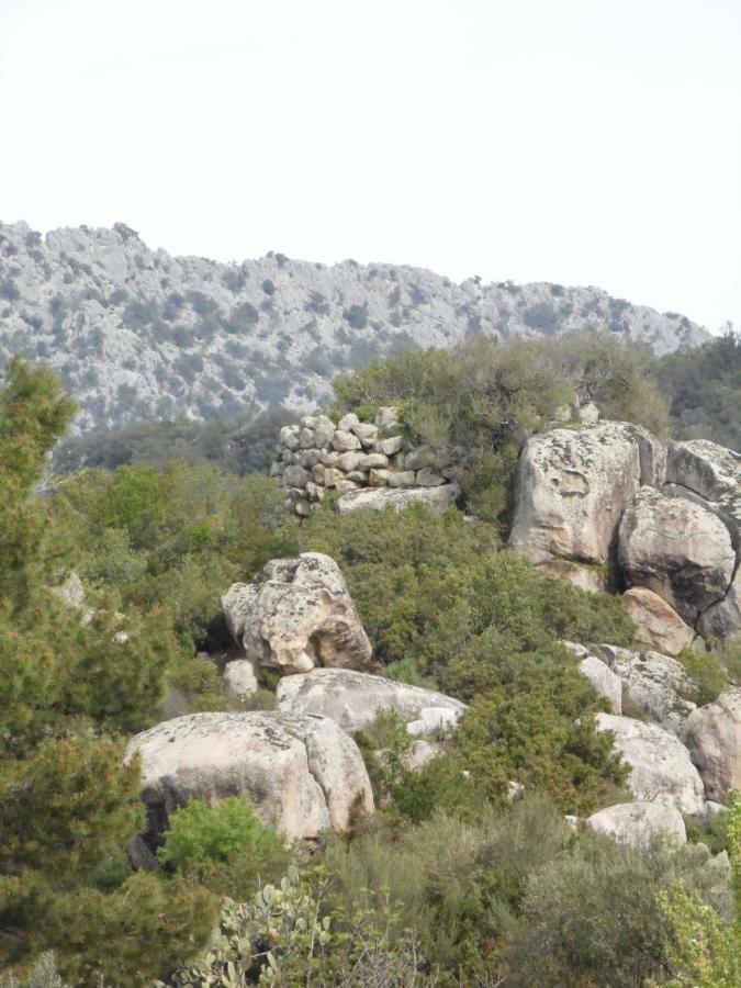 Villa Biriculi Dorgali Dış mekan fotoğraf